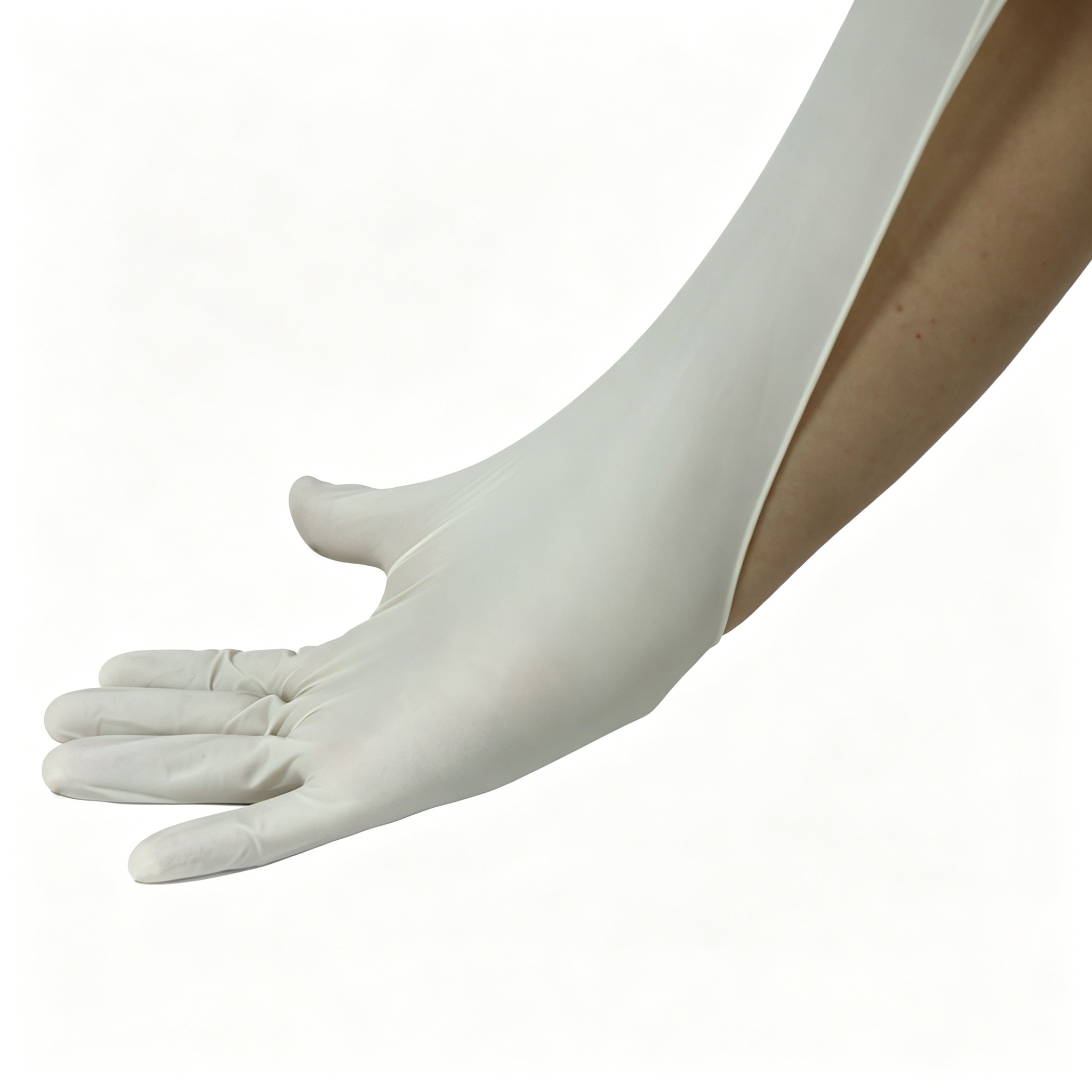 Disposable medical rubber exam – Latex Disposable Glove recenzja i cena